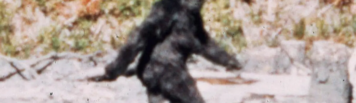 Bigfoot