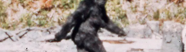 Bigfoot