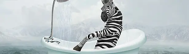 Zebra sitting in a bathtub in the open sea
